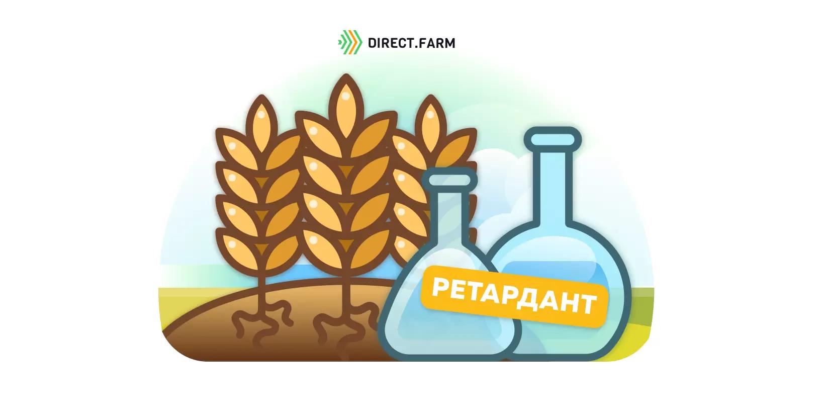 Ретарданты: нюансы применения регуляторов роста