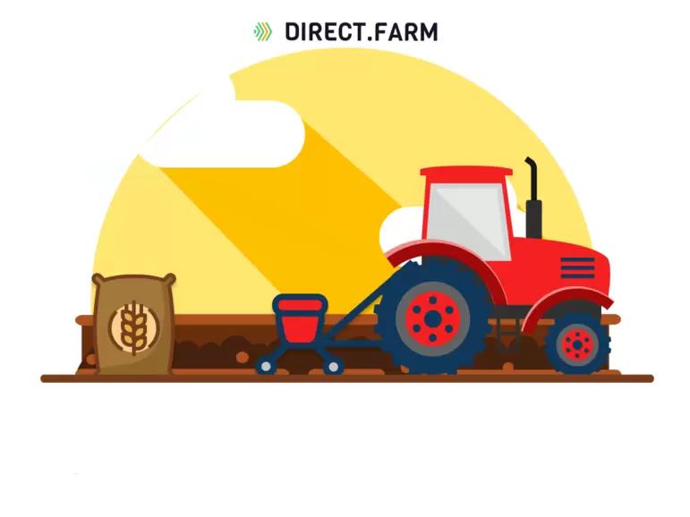 Яровая пшеница – ранний посев