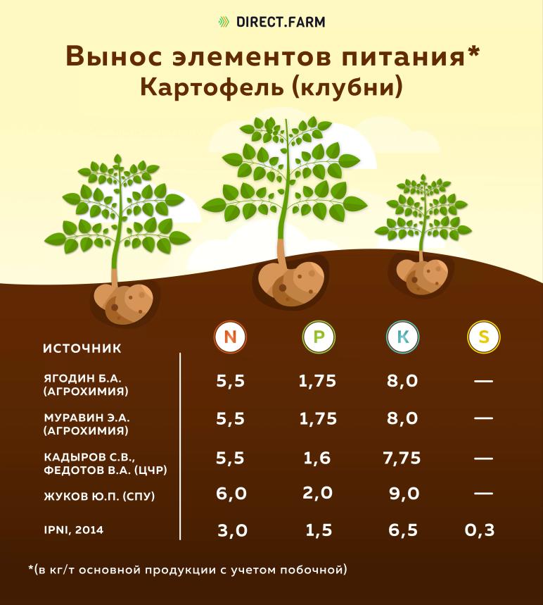 Вынос элементов питания картофелем