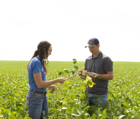 Что дарят аграриям? 10 самых популярных вариантов подарков
