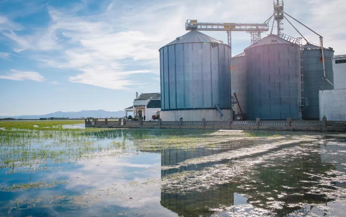 ТД «РИФ» сокращает штат и не исключает ликвидацию