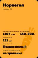 Норвегия F1 (NORWAY)