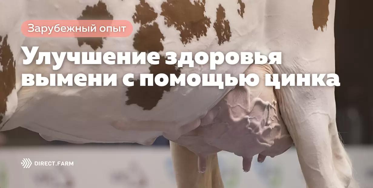 Улучшение здоровья вымени с помощью добавок с цинком