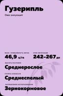 Гузерипль овес зимующий