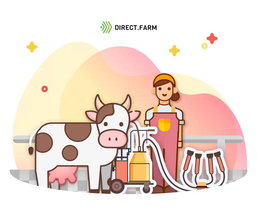 Напольное покрытие в доильном зале