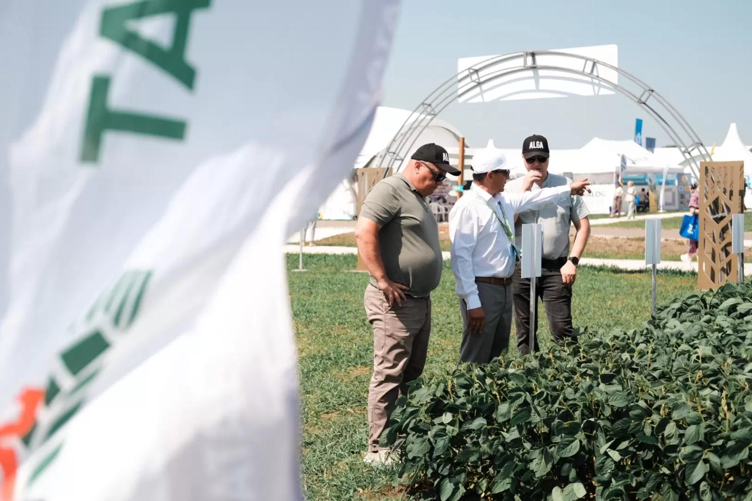 Подписка или полный аудит: какая стратегия консалтинга подойдет вашему хозяйству