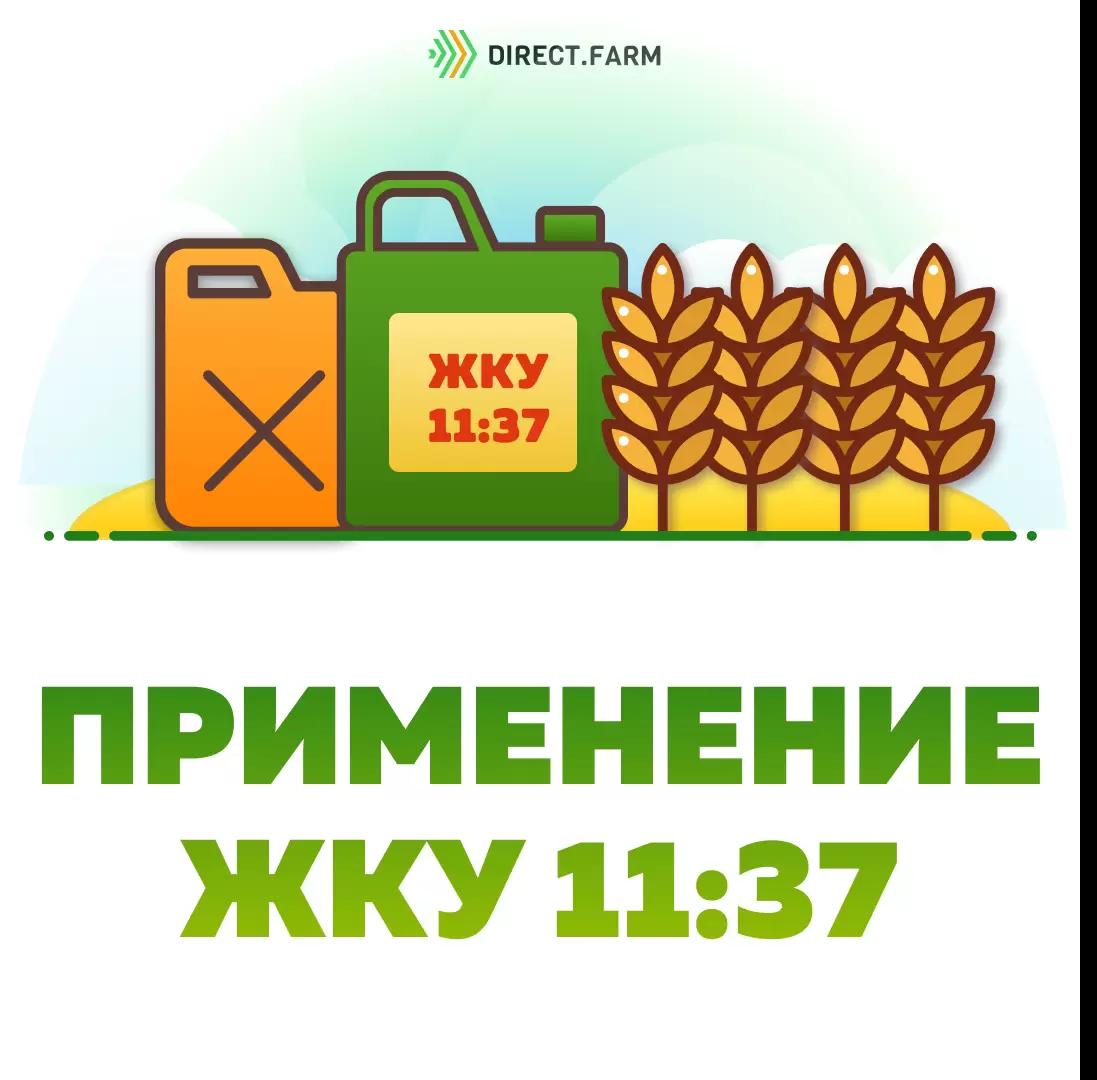 Какие есть преимущества и недостатки у ЖКУ 11:37?
