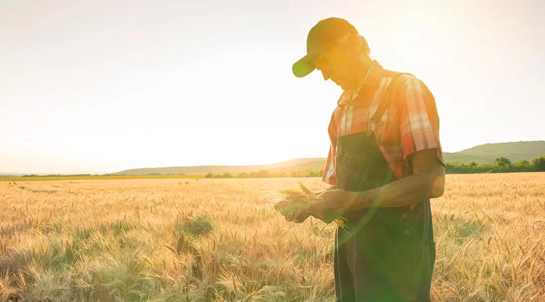 Совфед одобрил закон о кредитных каникулах для МСП при мобилизации