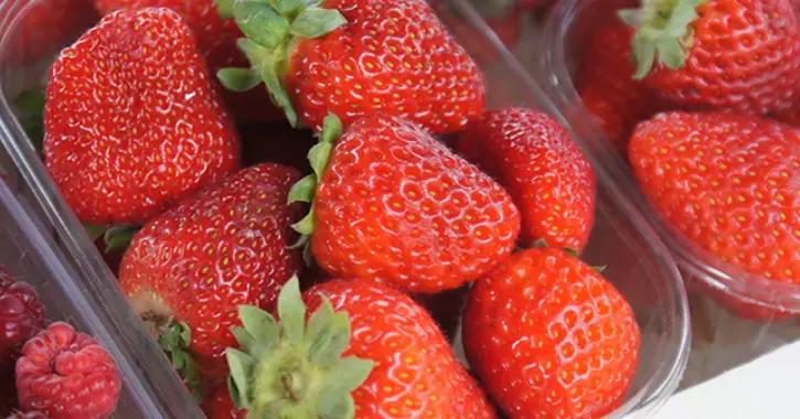 Стартап по биологической борьбе с вредителями в плодоводстве