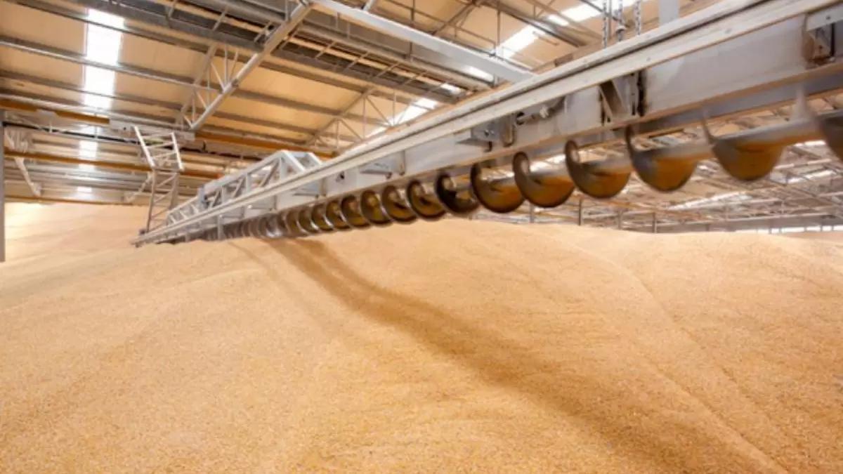 Как у сельхозпроизводителей обстоят дела с мощностями для хранения урожая