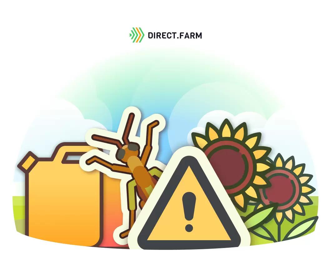 Как бороться с саранчой?