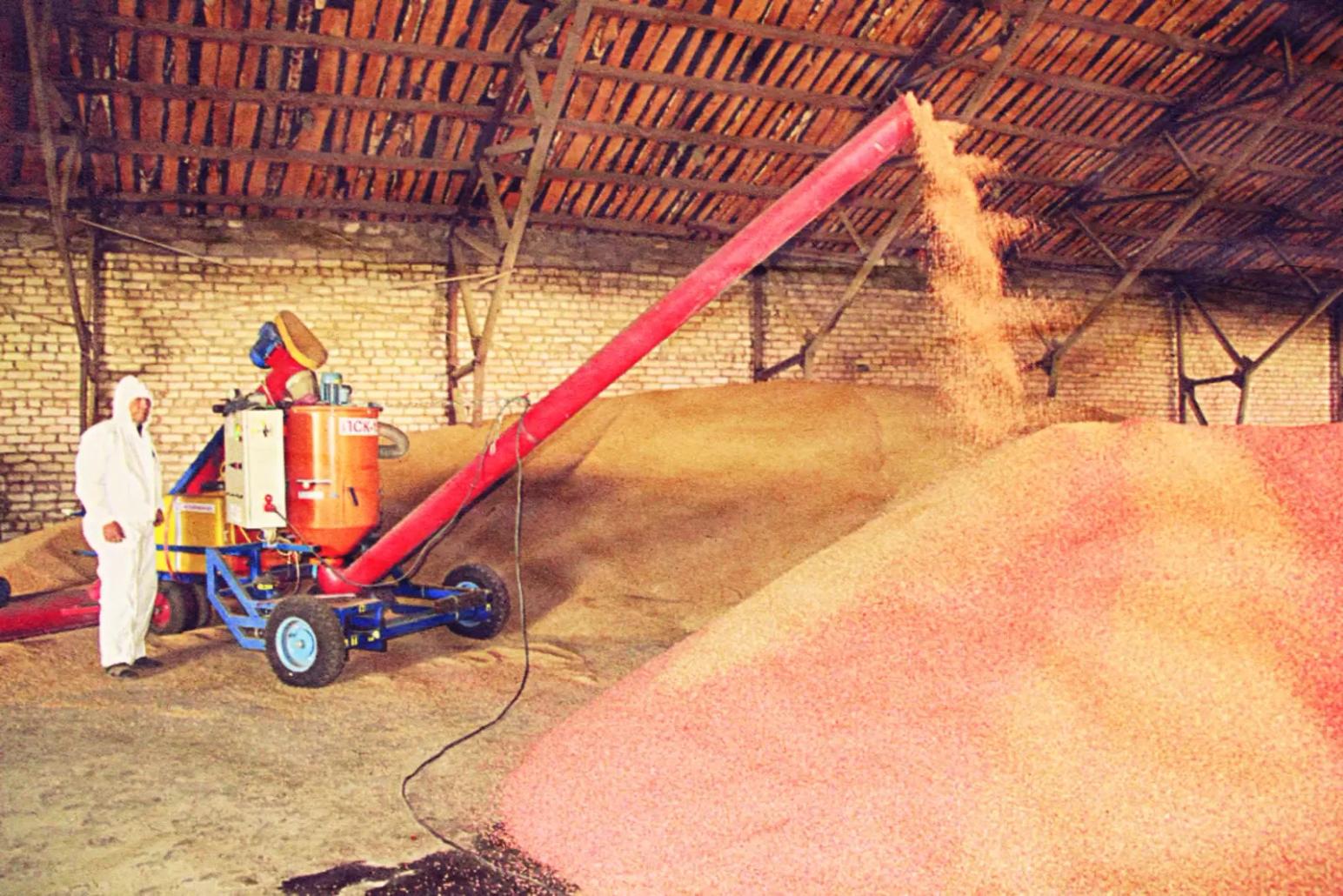 Обработка семян колосовых в 2024 году. Мифы и реальность