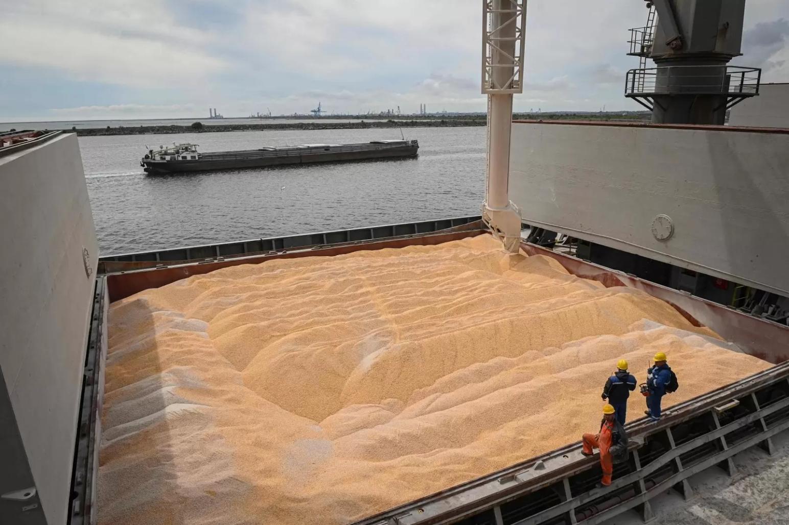 Россия высказалась за продолжение зерновой сделки с условием контроля поставок