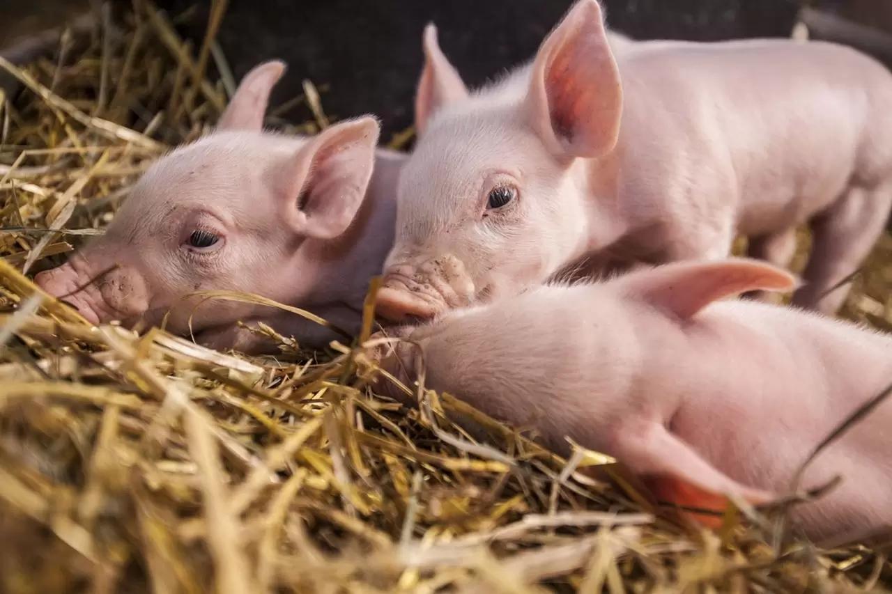 Подборочка фоточек