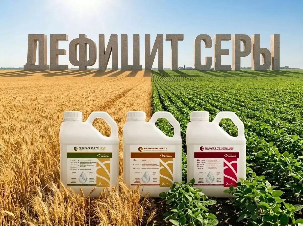 Сера в растениях – залог высокого качества продукции!