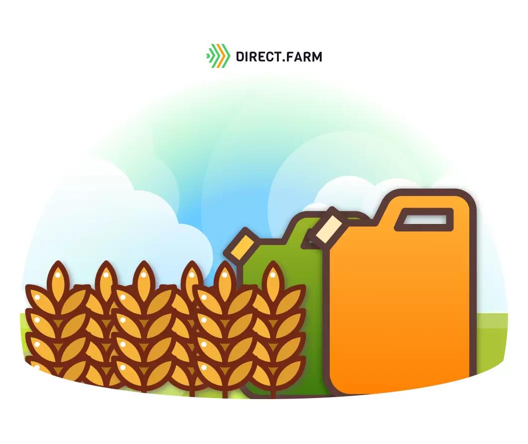 Чем обработать озимую пшеницу?