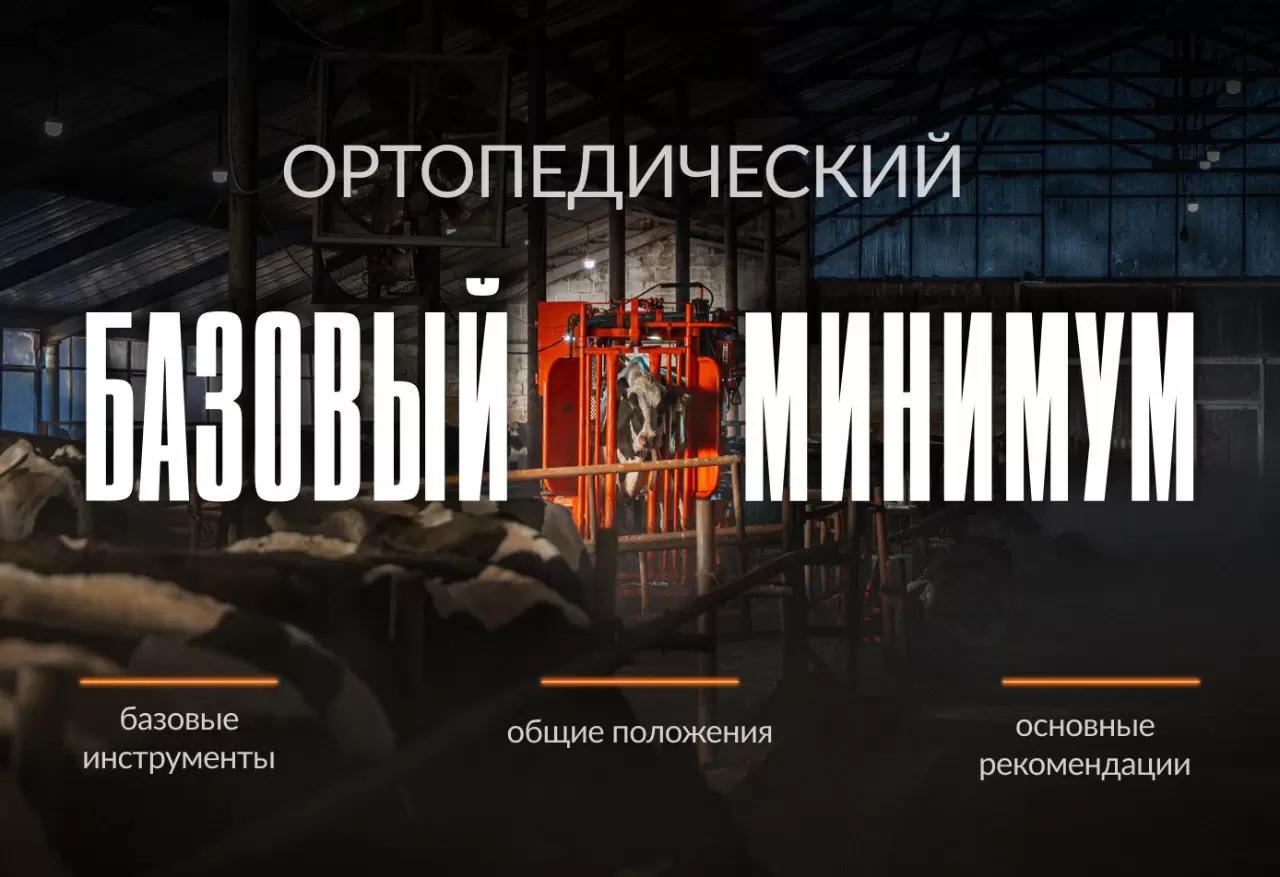 Базовый минимум для здоровья копыт