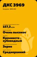 ДКС 3969 гибрид кукурузы