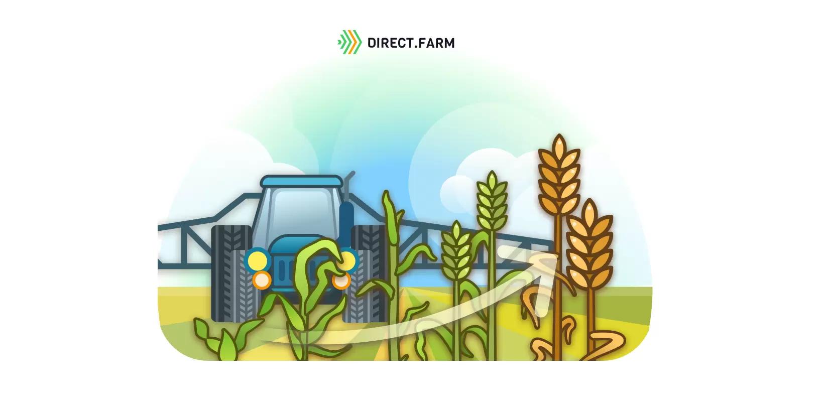 Определение фаз зерновых культур для пестицидных обработок