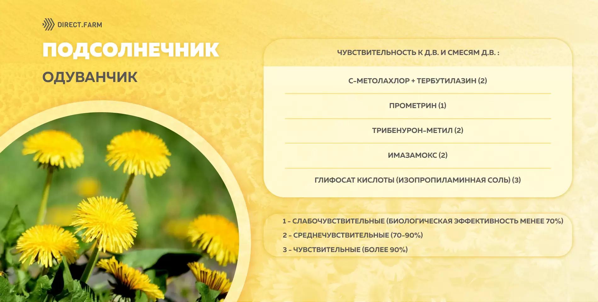 Шпаргалка чувствительности одуванчика к д.в. гербицидов