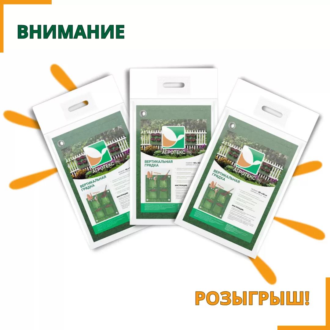 Розыгрыш