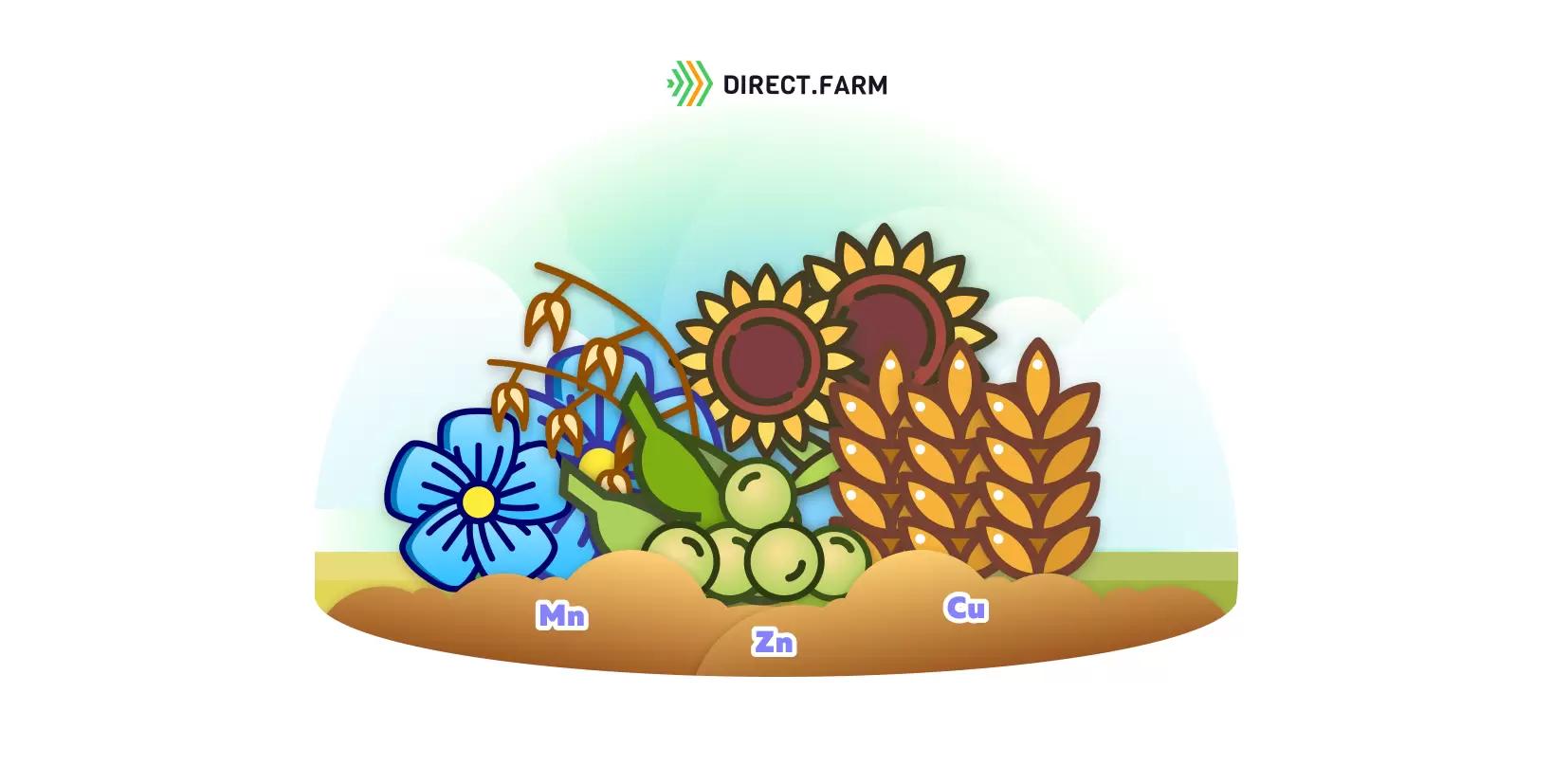 Как восполнить дефициты микроэлементов у растений?