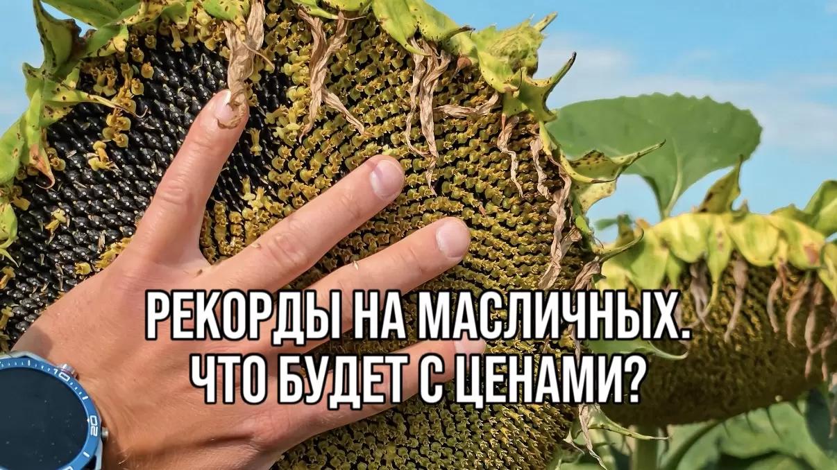 РЕКОРДЫ НА МАСЛИЧНЫХ. ЧТО БУДЕТ С ЦЕНАМИ?