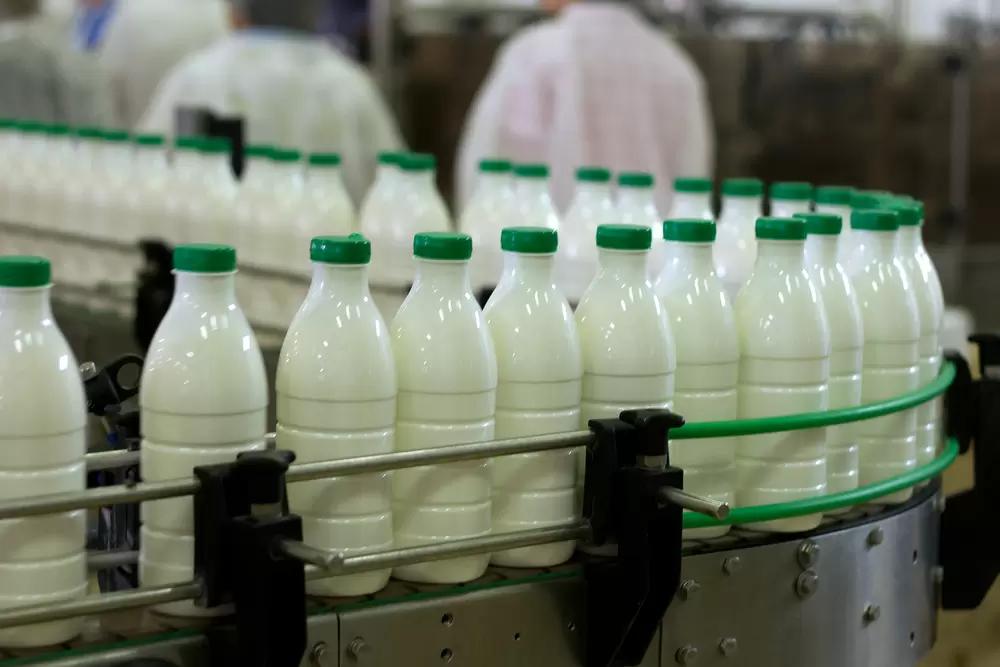 Союзмолоко: производство товарного молока в России в 2022 году вырастет на 3,5%