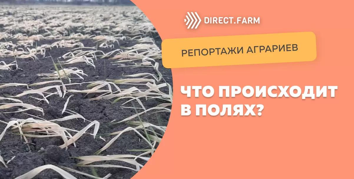 Обсудим, что происходит в полях?