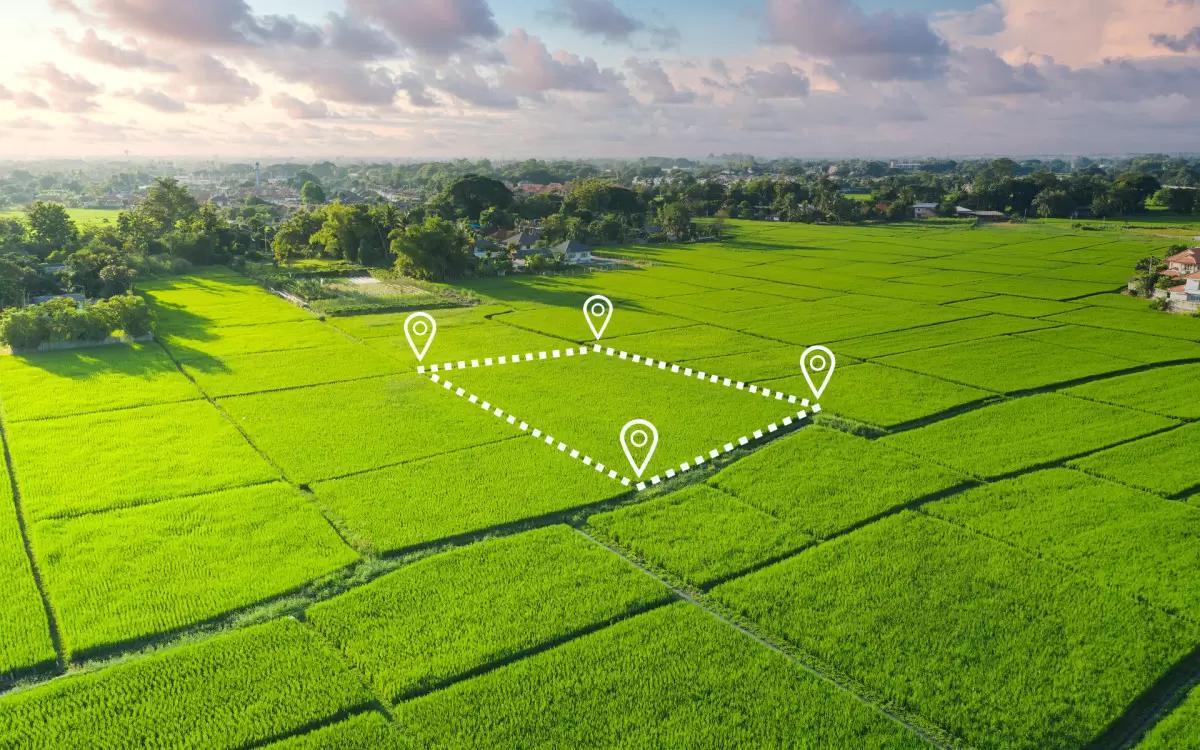 «Ъ»: Минсельхоз сведет все данные о сельхозугодьях в одном реестре