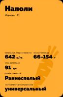 Наполи F1 (NAPOLI)