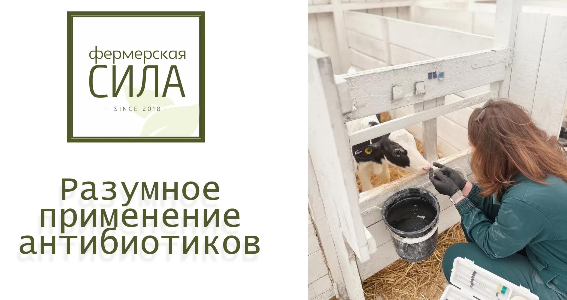 Разумное применение антибиотиков