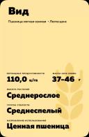 Вид сорт мягкой озимой пшеницы