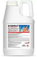 Буцефал, КЭ