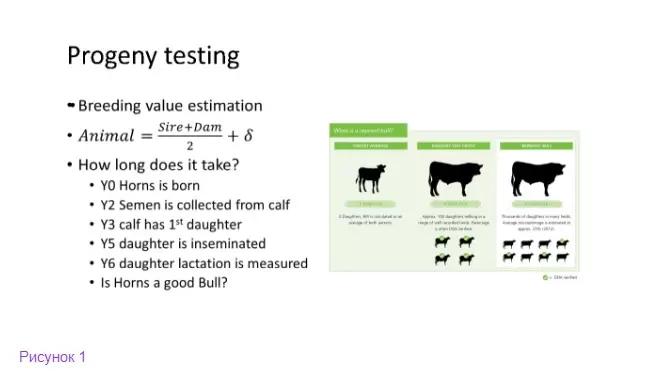 Генотип и окружающая среда: включение факторов среды в племенные оценки животных