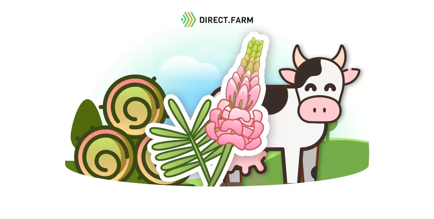 Сено из эспарцета: достоинства, нюансы, сравнение с люцерной