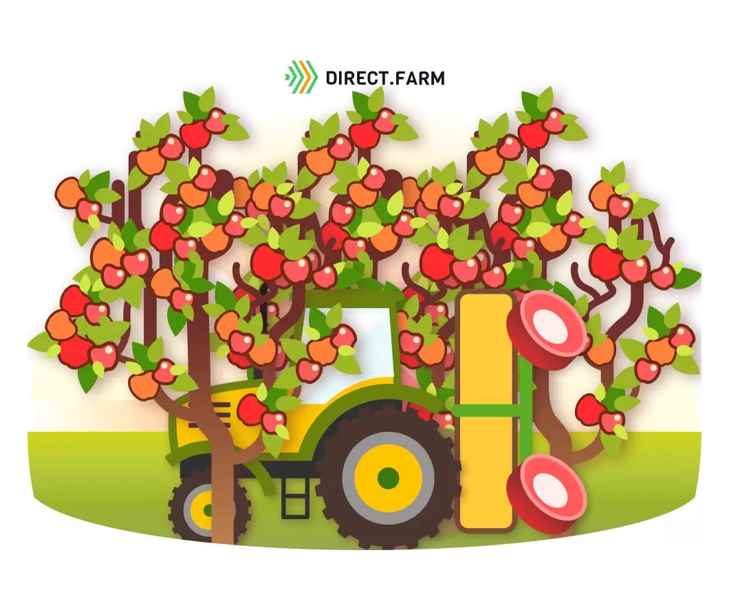 Листовые подкормки плодовых насаждений – макро- и микроэлементы