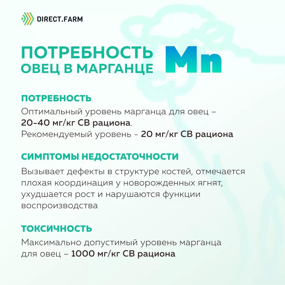 Потребность овец в марганце