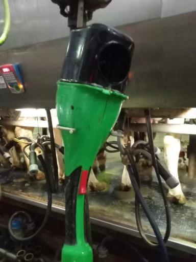 Способ автоматизации подготовки коров к доению