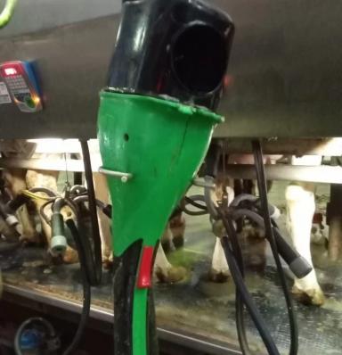 Способ автоматизации подготовки коров к доению