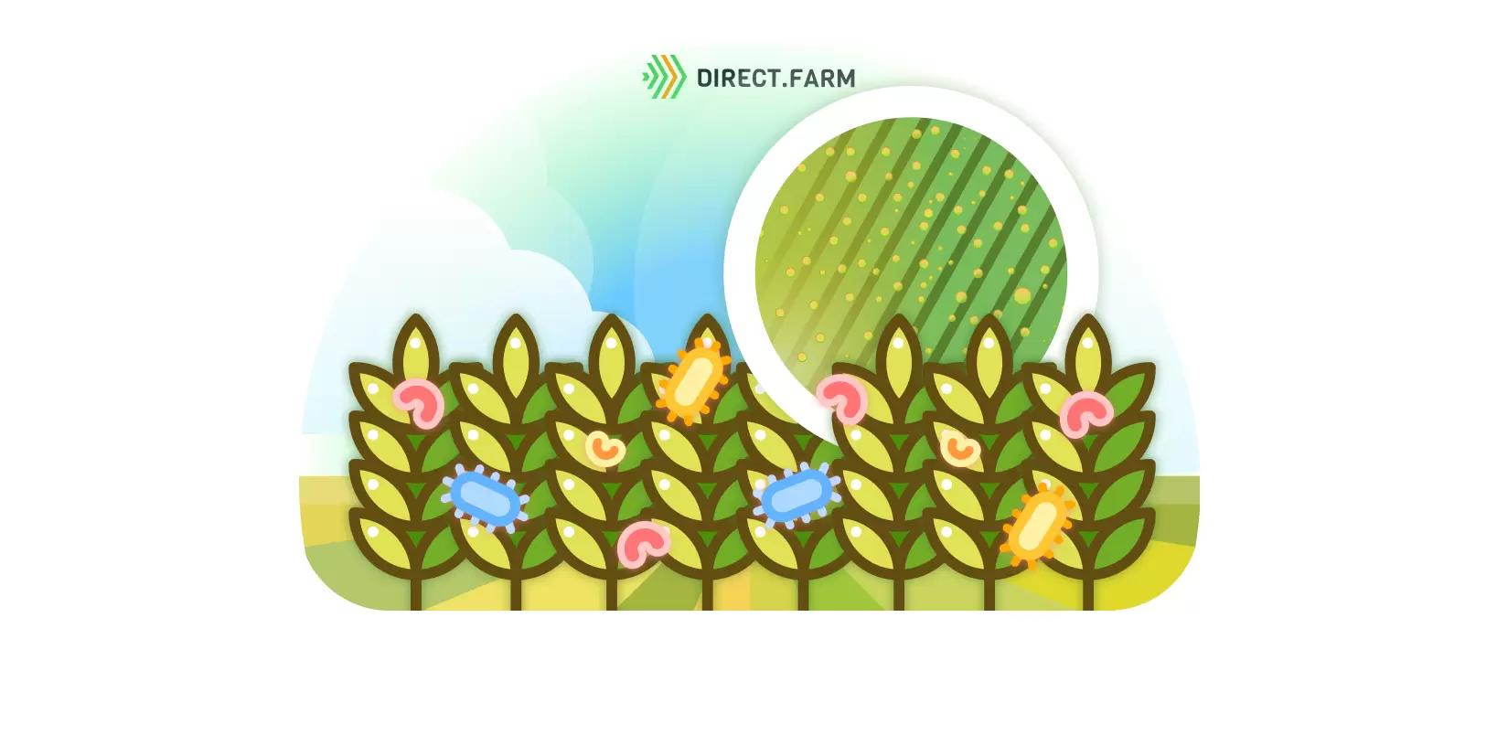 Повреждения листьев пшеницы. Вирусные заболевания