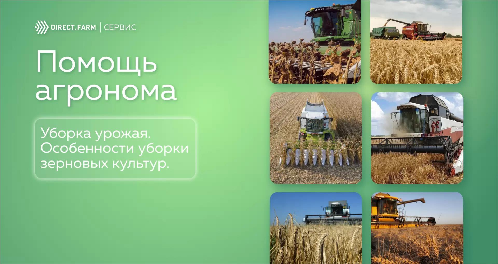 Ответы на вопросы про Уборку зерновых культур