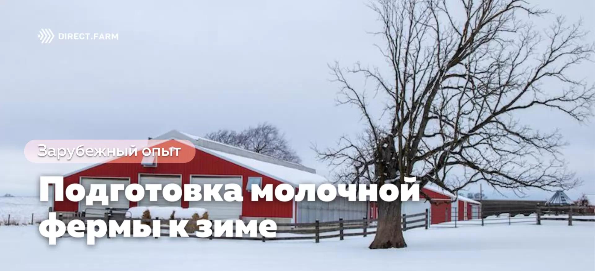 Подготовка молочного хозяйства к зиме