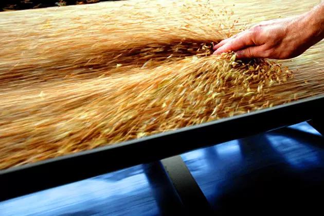 Фермеры просят президента увеличить закупки зерна в интервенционный фонд