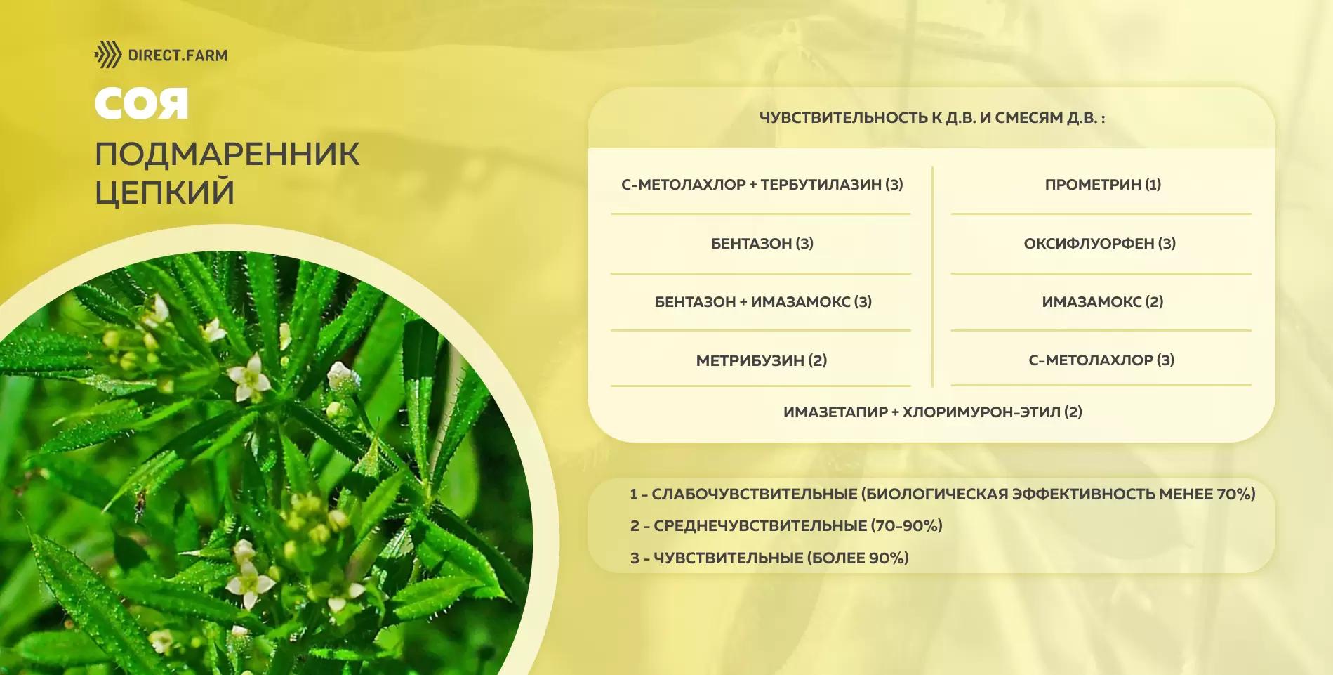 Шпаргалка чувствительности подмаренника цепкого к д.в. гербицидов