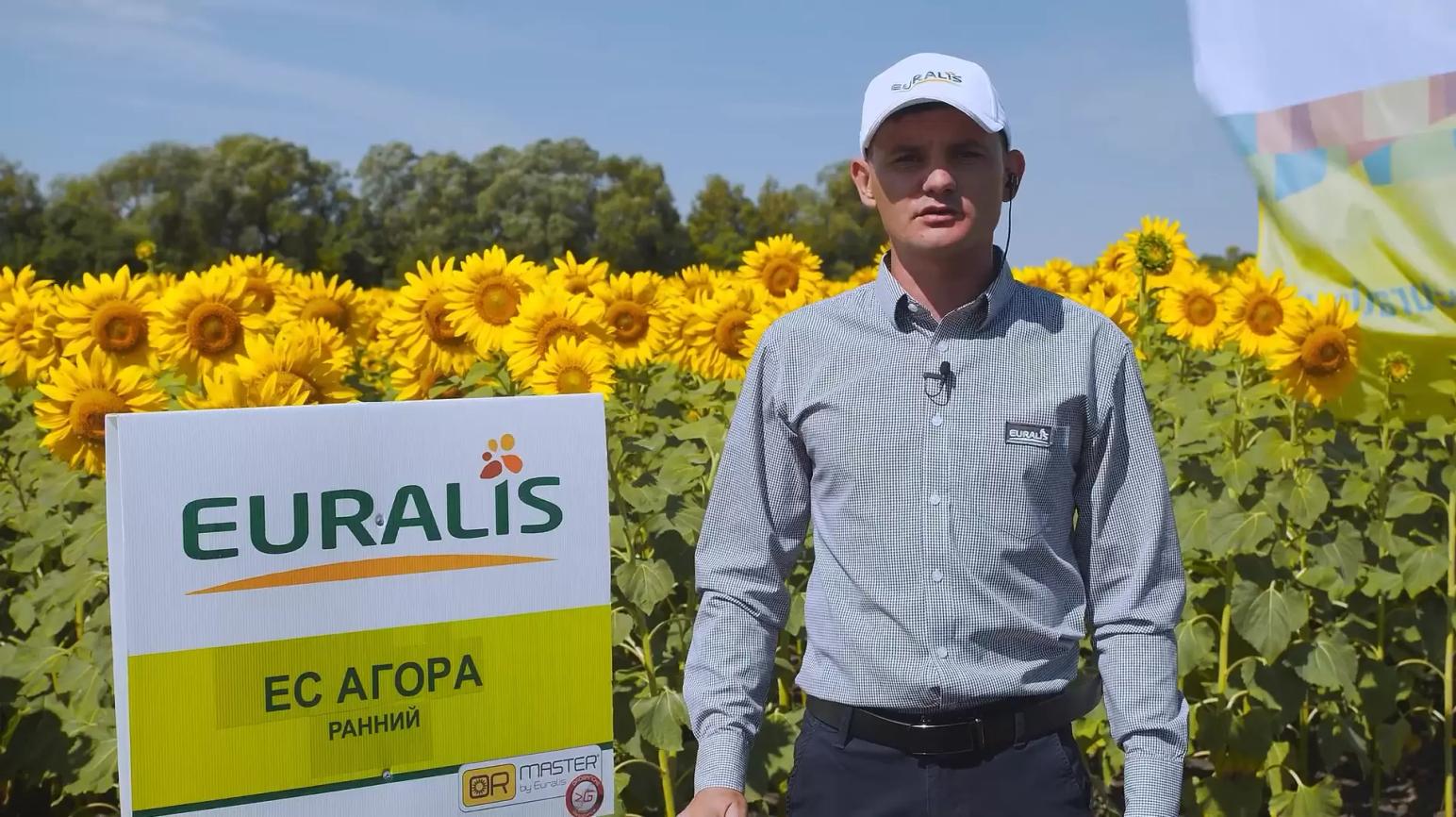 Меры борьбы с падалицей подсолнечника