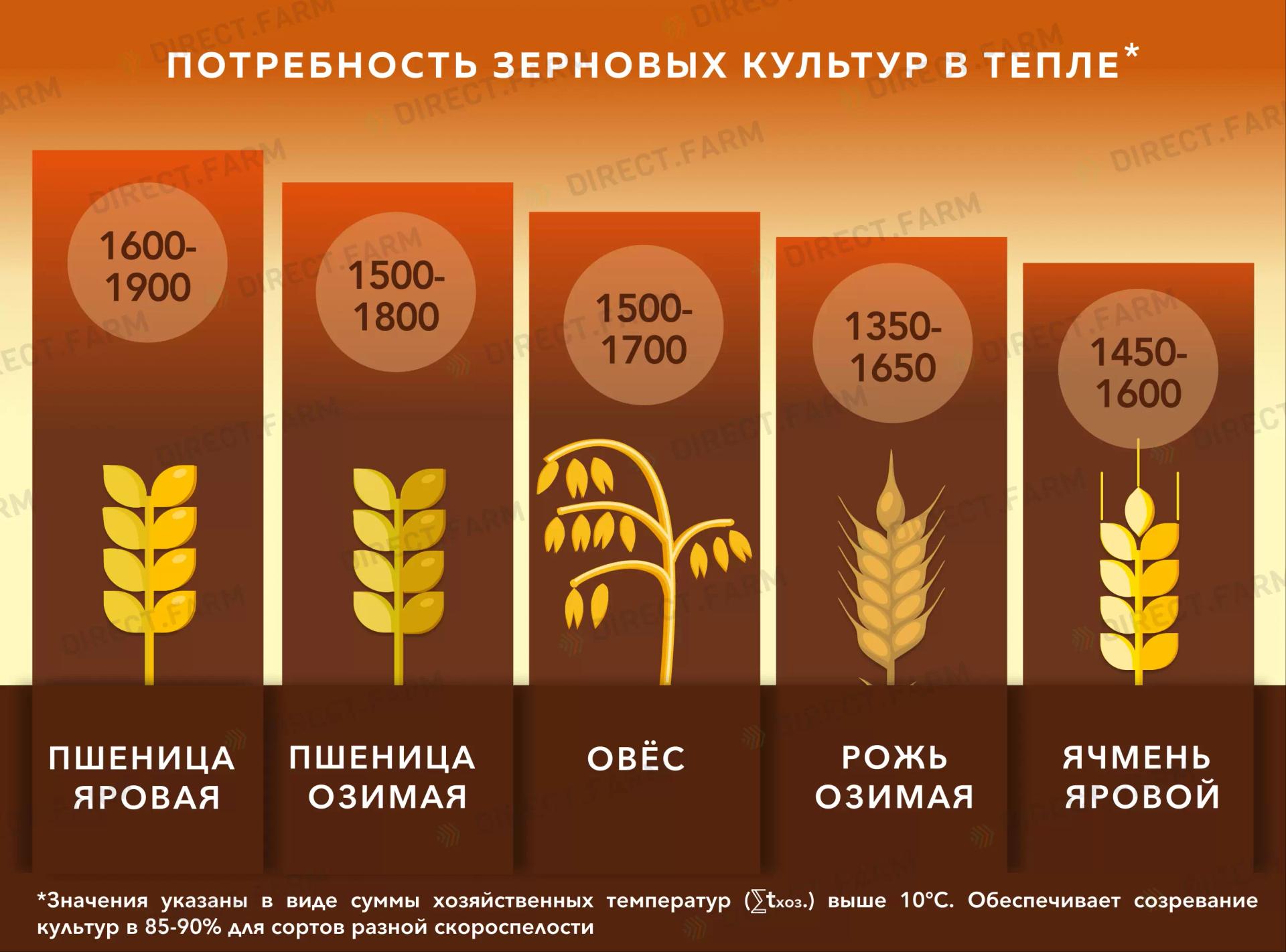 Потребность зерновых в тепле