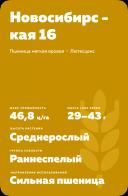 Новосибирская 16 сорт мягкой яровой пшеницы