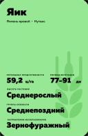 Яик сорт ярового ячменя