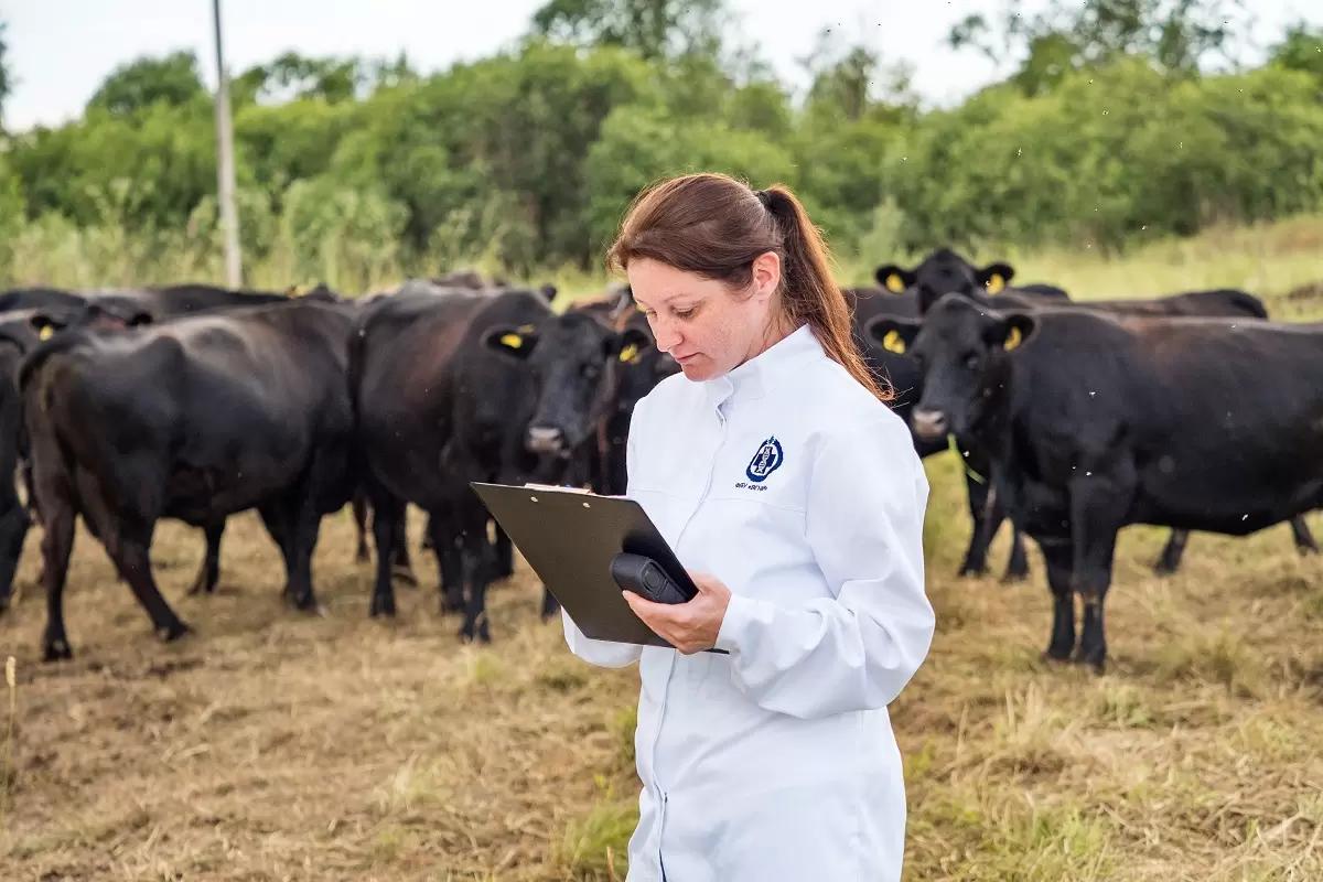 Власти ужесточают требования к ввозу племенного скота